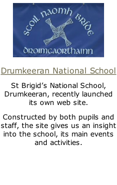 Drumkeeran National School St Brigid’s National School, Drumkeeran, recently launched its own web site. Constructed by both pupils and staff, the site gives us an insight into the school, its main events and activities.